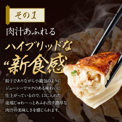 ふるさと納税 彦根市 マスコミでも紹介!近江牛使用プレミアム餃子 牛とんぽう 30個 【包王Paou】 |  | 01