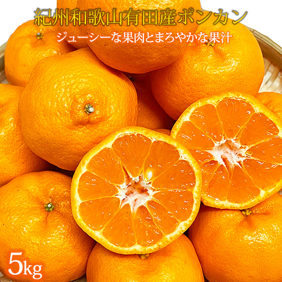 
紀州和歌山有田産ポンカン　５ｋｇ
