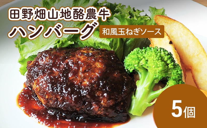 田野畑山地酪農牛ハンバーグ 和風玉ねぎソース 5個 牛肉 肉 牛 惣菜 おかず お弁当 冷凍 小分け 個包装 湯煎 温めるだけ 簡単調理 レトルト 詰め合わせ ブランド牛 希少 厳選素材 旨味 ジューシー 国産 岩手県 盛岡市 東北 岩手 盛岡 有限会社 秀吉