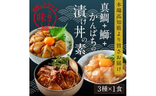 【CF-R5oka】 海鮮漬け丼の素3種食べ比べセット＜高知市共通返礼品＞