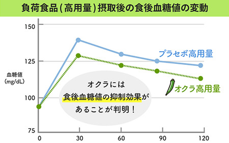 機能性表示食品 オクラパウダー120g　食後の血糖値上昇を抑える オクラ由来水溶性食物繊維のちから エール IB053-001 オクラ オクラ