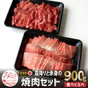 【ふるさと納税】宮崎牛食べ比べ 霜降り 赤身焼肉セット 900g 最高級 黒毛和牛 ジューシー ヘルシー 赤身 モモ 冷凍 お肉 国産牛 食品 畜産物 宮崎県 宮崎市 送料無料