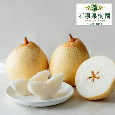 【ふるさと納税】梨 2026年 先行予約 備前乙女梨（鴨梨） 3～4玉 合計約2kg【11月下旬～12月中旬頃発送】 ナシ なし 岡山県産 国産 フルーツ 果物 ギフト 石原果樹園 風味豊か 上品 希少な梨 　お届け：2026年11月15日～2026年12月20日