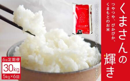 【定期便6回】くまさんの輝き 5kg×1袋 米 お米 コメ 精米 白米 ご飯 ごはん 5kg 熊本県 湯前町 定期便