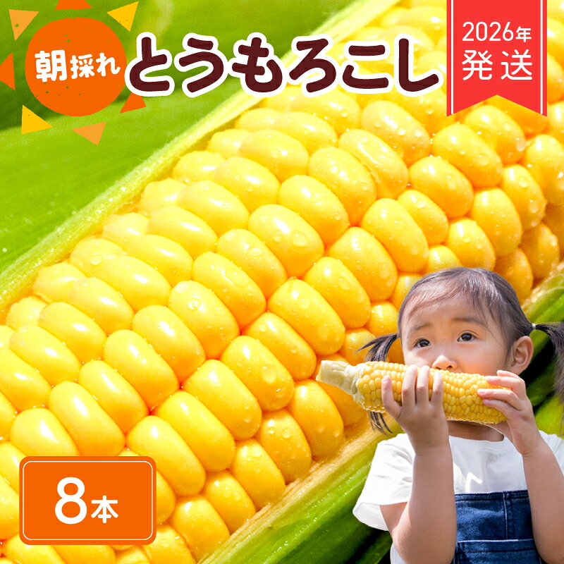 【ふるさと納税】 2026年 先行予約 とうもろこし 8本 コーン スイートコーン 生 黄色 新鮮 ジューシー 旬 野菜 やさい 夏野菜 朝採り とうきび BBQ バーベキュー 炊き込みご飯 数量限定 季節限定 送料無料 産地直送 冷蔵 千葉県 旭市 株式会社はなわ農園