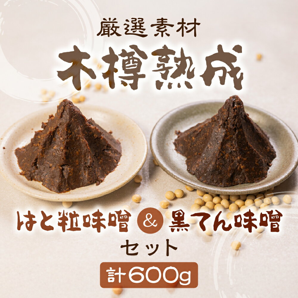 【ふるさと納税】黒てん味噌 はと粒味噌 セット 600g 黒豆味噌 黒豆みそ はと粒 はところし 木樽仕込み 3年以上熟成 300g×3　ひだかみ 黒てん味噌 無農薬栽培黒大豆 米糀 バーニャカウダー