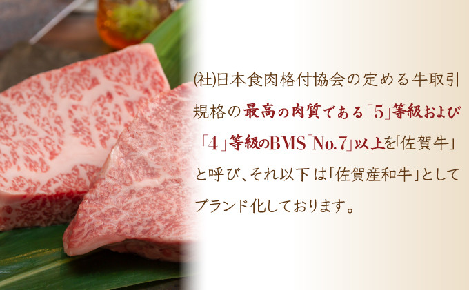 120g×5個【佐賀牛】ハンバーグ C-553