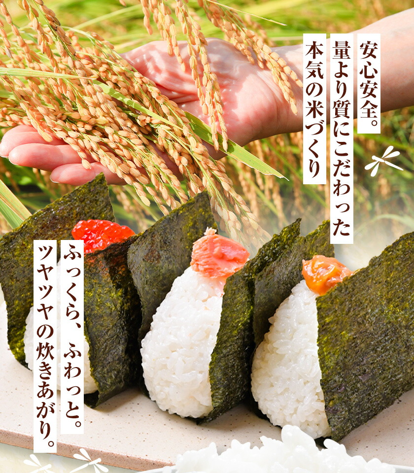 令和7年産 七城のこめ 特選米 七つ星 精米 ヒノヒカリ ひのひかり 10kg 有限会社七城町特産品センター《30日以内に出荷予定(土日祝を除く)》 熊本県 菊池市 お米 米 白米 九州産 熊本県産-