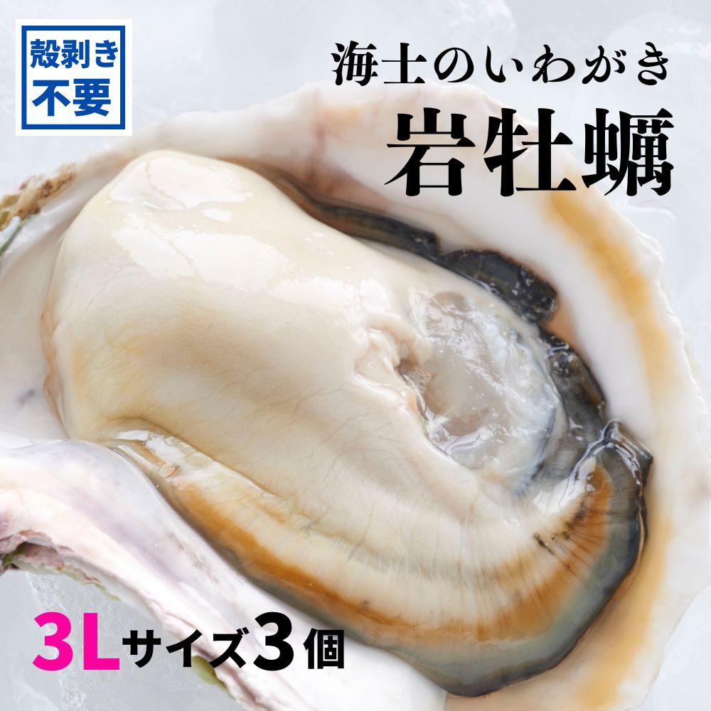 【ふるさと納税】【いわがき 殻なし 3Lサイズ 3個】海士のいわがき 岩牡蠣 生食可 冷凍 牡蛎 牡蠣 かき カキ 岩牡蠣 いわがき 冷凍 お歳暮