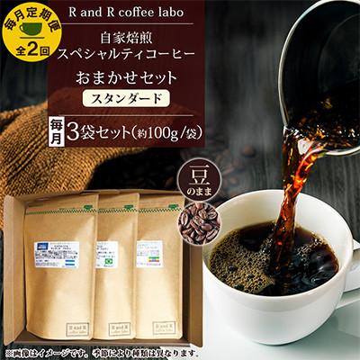 ふるさと納税 諫早市 【毎月定期便】自家焙煎スペシャルティコーヒーおまかせセット スタンダード(豆のまま)全2回
