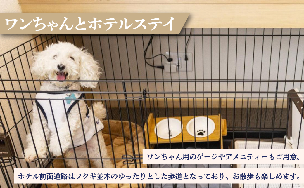 エンズマリーナインマシキ 宿泊利用券 宿泊利用金額 9,000円分 | ペット同伴OK ワンちゃんと一緒に宿泊 | 家族 ファミリー グループ 旅行 沖縄 ホテル 旅行券 トラベル 家具家電付き コン