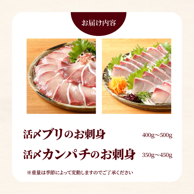 【冷蔵】延岡産活〆ブリとカンパチの新鮮お刺身セット N019-YB331_イメージ5