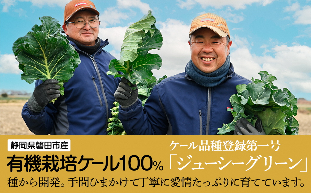 手軽に野菜摂取!【無添加 ケールまるごと100%青汁ジュース 原材料 静岡県磐田市産 有機栽培】冷凍【配送不可地域：離島】