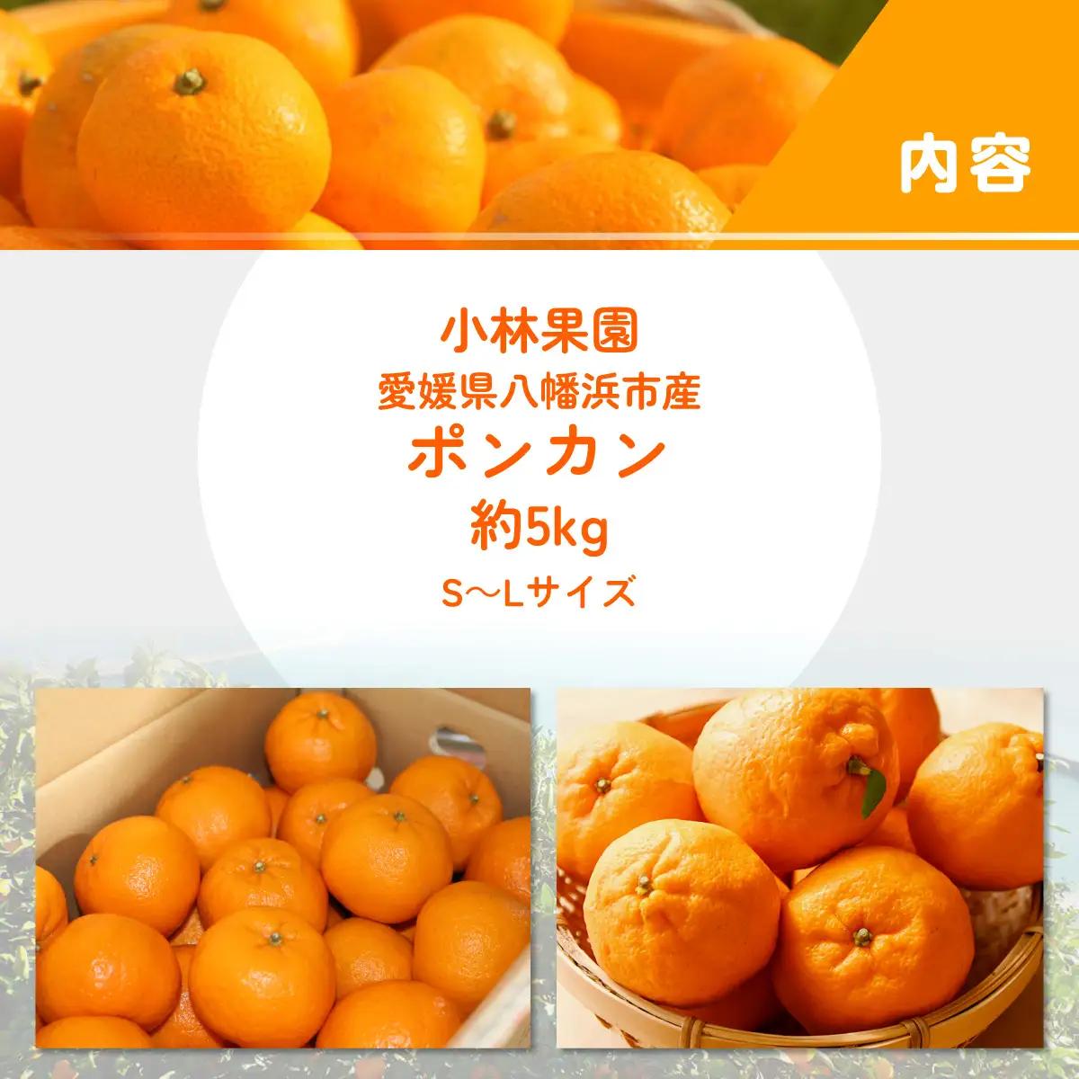 【先行受付】小林果園のポンカン(約5kg)【C24-18】【1124424】 YWTAD011