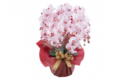 
                  枯れないアーティフィシャルフラワー胡蝶蘭　5本立ち
                