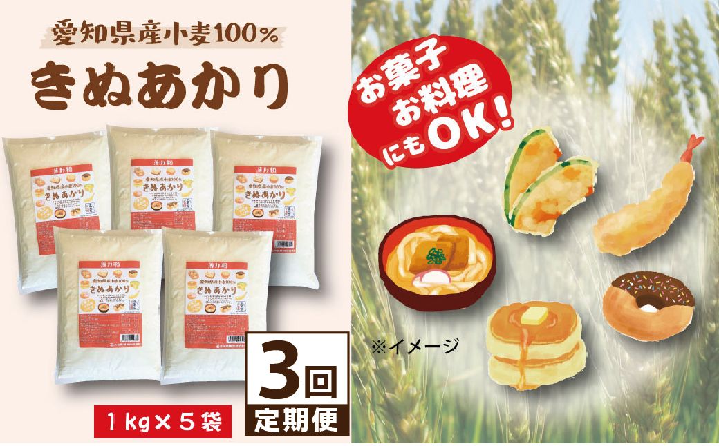 【小麦粉】愛知県産 きぬあかり 国産 薄力粉 1kg×5袋(計5kg) 定期便3回 麺づくり お菓子用 お料理 手打ちうどん きしめん 天ぷら ドーナツ アメリカンドッグ 保存に便利 チャック付 H008-290