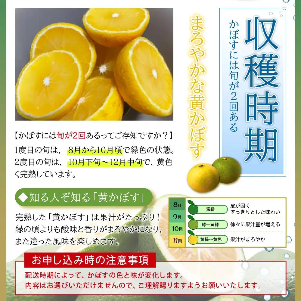 カットしてわかる魔法の香り「有機栽培かぼす」 10㎏箱入り K3-S
