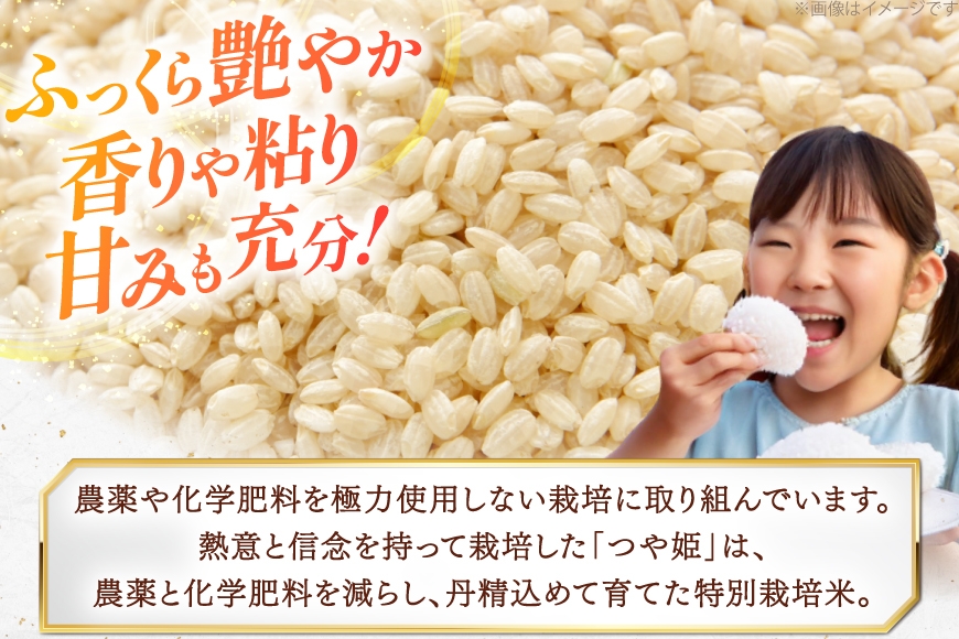 米 令和7年度 特別栽培米 つや姫 玄米 2kg [上和田有機米生産組合 山形県 高畠町 tk06ays640011] お米 玄米 げんまい ブランド米 ごはん ご飯 おこめ 2キロ つやひめ 令和7