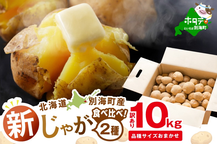 2025年10～12月発送 北海道別海町産 じゃがいも10kg (２種おまかせ)【JV0000003】 （きたあかり、ワセシロ、男爵、メークイーン、レッドムーン）