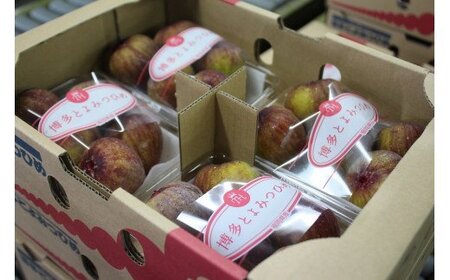 【福岡県産】とよみつひめ（イチジク）　１.２ｋｇ（３００ｇ×４Ｐ） 2J7