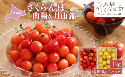 【先行受付】 さくらんぼ 南陽 & 月山錦 1kg(各500g×1パック) 北海道 芦別市 大橋さくらんぼ園[№5342-0052]