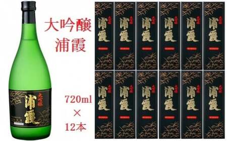日本酒 浦霞 大吟醸 720ml 日本酒