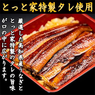 ふるさと納税 安芸市 【毎月定期便】藁焼きかつおのタタキ2節と高知県産うなぎの蒲焼き2尾セット 全6回 |  | 03