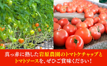 姫の完熟トマトケチャップ・トマトソース 各3本セット 多治見市 / 岩原農園 トマト とまと ケチャップ ソース 調味料[TFP003]