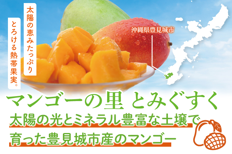 【2026年8月より順次発送】★訳あり★キーツマンゴー 3～7玉(約2.5kg)(白箱)ご家庭用｜訳あり わけあり 訳アリ キーツマンゴー マンゴー キーツ フルーツ 果物 くだもの おきなわマンゴー