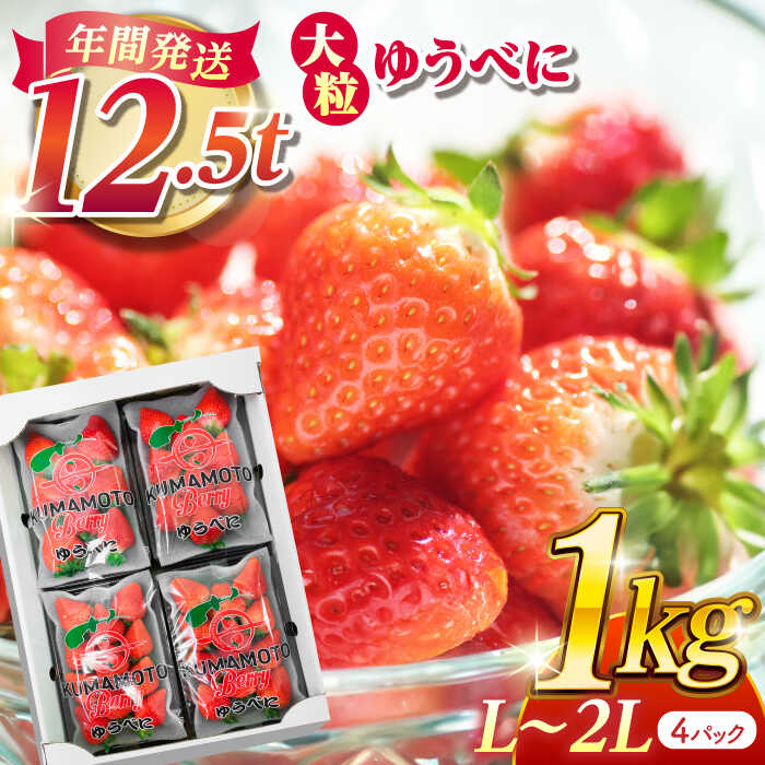 【ふるさと納税】大粒いちご L〜2L ゆうべに 1kg（4pc）【熊本ベリー】[ZER001] イチゴ 苺 ストロベリー 旬 評判 レビュー 完熟 フレッシュ 国産 熊本県産 山鹿 果物 くだもの フルーツ 人気 小分け 季節 産地直送 特産 ブランド おすすめ 期間限定 送料無料