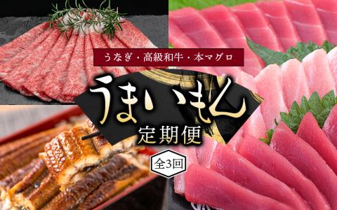 【3ヶ月定期便】◎和歌山うまいもん定期便 国産うなぎ･高級和牛･本マグロの人気返礼品を3回お届け！/ 定期便 定期便 定期便 定期便 定期便 鰻 熊野牛 鮪 まぐろ 定期便 定期便 定期便 定期便 定