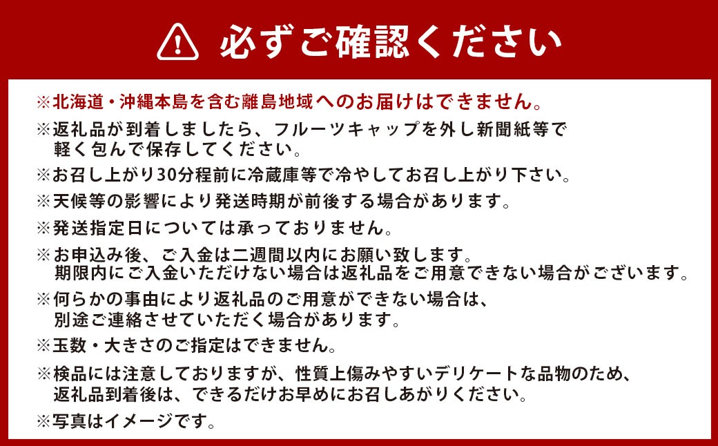 岡山県美咲町産 桃 【白皇】 5～8玉入り 約2kg