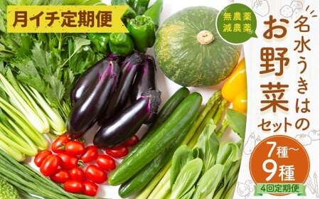 【月イチ定期便】UIC 名水うきは 旬の滋味（じみ）野菜セット (ひと月1箱×4か月=計4回)