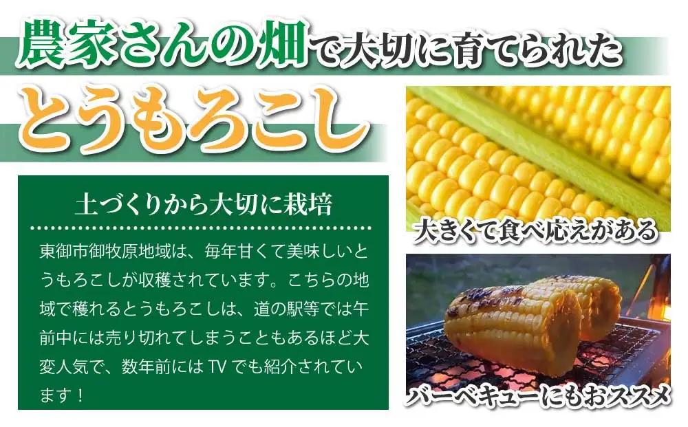 生とうもろこし 2Lサイズ 6本 有機肥料使用のスイートコーン！ 長野県東御市産 ※7月上旬から順次発送予定※発送日指定不可