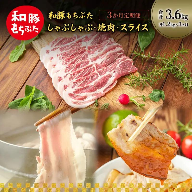 3ヵ月定期便 計3.6kg  豚肉【しゃぶしゃぶ 焼肉 スライス 和豚 もちぶた】