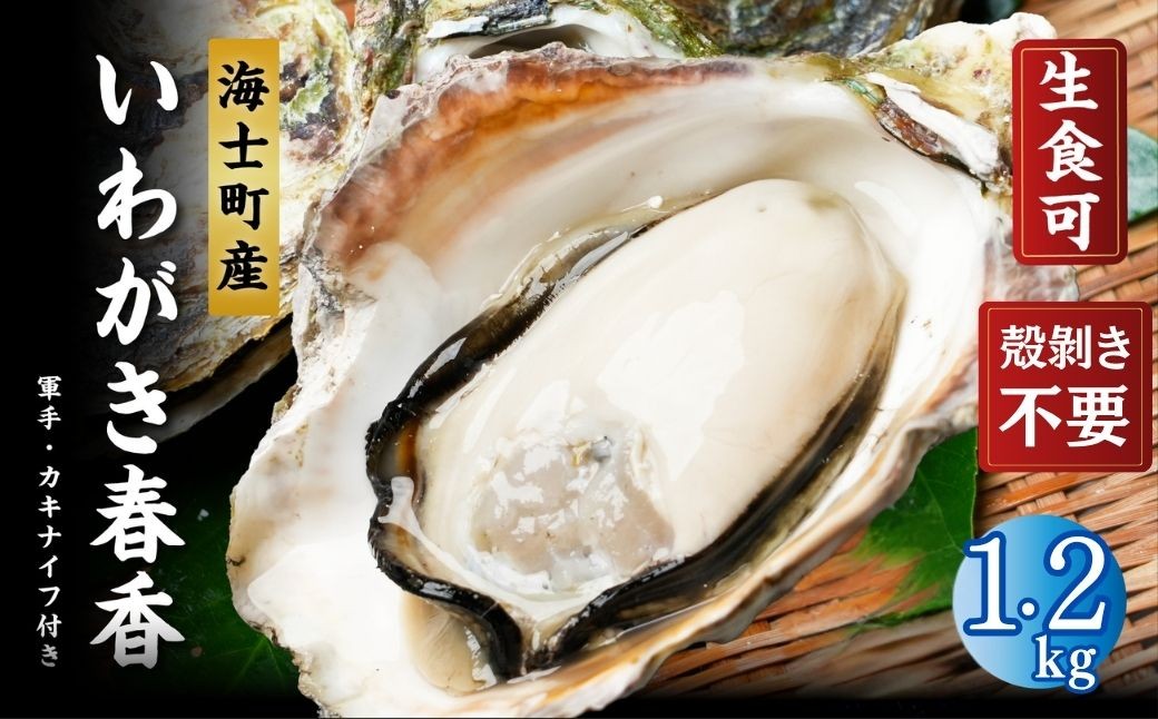 
                  【ブランドいわがき春香/ 殻向き不要】【訳あり】食べごろサイズ 1.2kg 春香 牡蠣ナイフ 説明書付き 牡蠣  いわがき 岩牡蠣 殻付き かき 海鮮 新鮮 冷凍 生食 カキ BBQ 魚介 国産 ふるさと納税 訳あり
                
