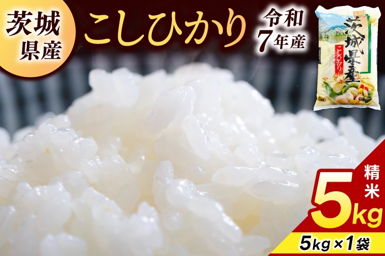 
                  精米 コシヒカリ 5kg (5kg × 1袋)【令和7年産】米 精米 白米 こしひかり 茨城県 鹿嶋市 国産 送料無料 お米 ごはん おにぎり 冷めても 美味しい 粘り うまみ 厳選 出荷直前精米 ツヤ かおり うまい（KY-19）
                