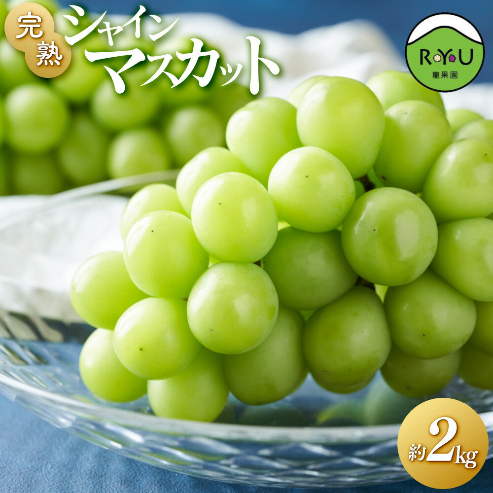 【ふるさと納税】完熟シャインマスカット（通常品） 2kg | フルーツ 果物 くだもの 食品 人気 おすすめ 送料無料