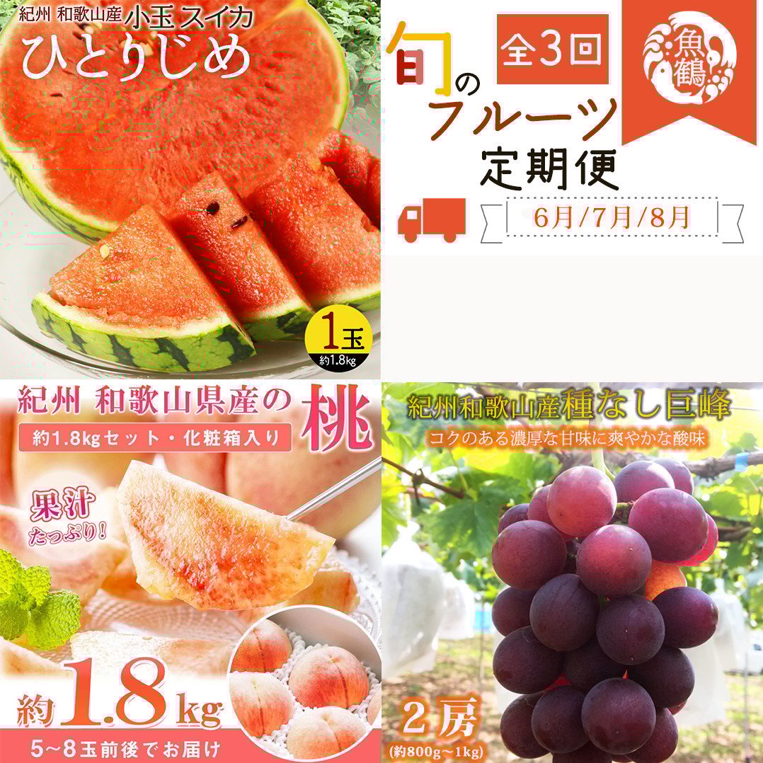 
            【全3回】紀州和歌山産旬のフルーツ定期便 (スイカ・桃・巨峰) / すいか スイカ もも 桃 白桃 巨峰 ぶどう 果物 くだもの フルーツ フルーツ定期便 和歌山【Z-tkb420】 
          