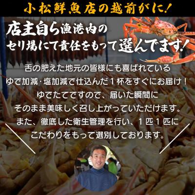 ふるさと納税 越前町 地元鮮魚店厳選 【訳あり】 ≪浜茹で≫ 足折れ 越前がに 大サイズ 1杯【1月発送分】 |  | 02