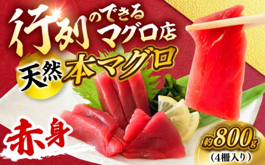 天然 本まぐろ 赤身 計約800g （4柵入り）マグロ 赤身 三崎まぐろ 天然 柵 刺身 お刺身 お取り寄せ 刺身 お刺身 海鮮 旨味 【横須賀商工会議所 おもてなしギフト事務局（本まぐろ直売所 横須賀本店）】 [AKAK098]