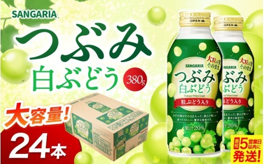 サンガリア つぶみ白ぶどう 380g×24本