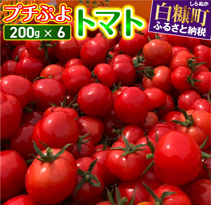 【ふるさと納税】ミニトマト【200g×6】