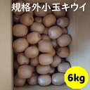 【ふるさと納税】訳あり キウイ 6kg 小玉 愛媛 国産 キウイフルーツ 規格外 数量限定 伊予市 【2024年11月配送】｜B265