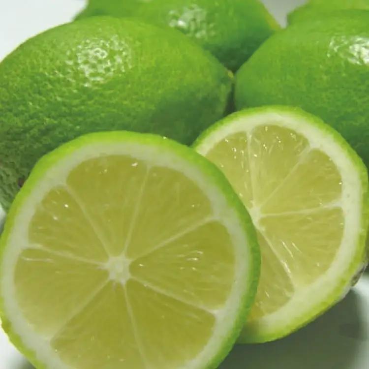【国産】紀州和歌山 有田レモン 約1kg+200g(傷み補償分)【2026年9月下旬～2027年2月上旬に順次発送】【AA90090-ard030B】