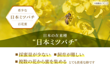 天然生はちみつ（百花蜜）300g [HAQ011]はちみつ ハチミツ 蜂蜜