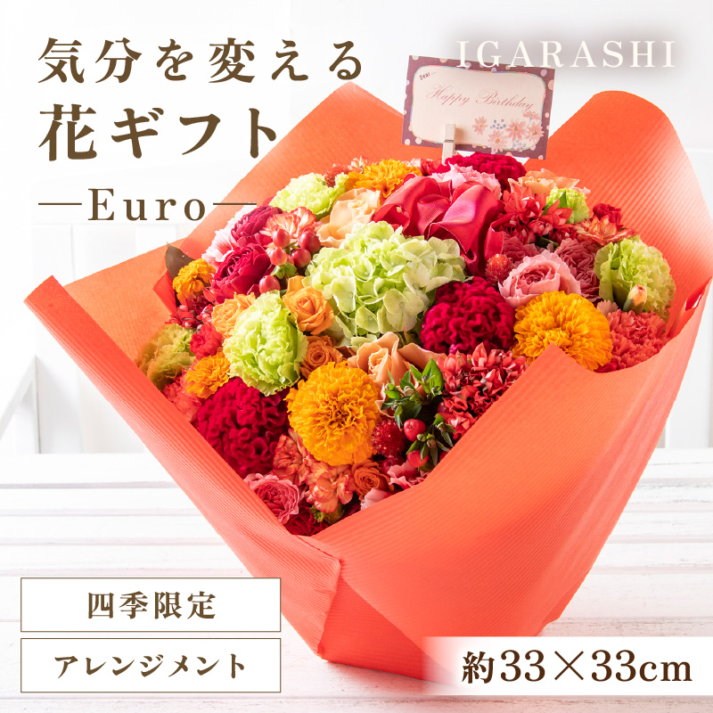 気分を変える花ギフト Euro(アレンジメント・四季限定アイテム) [aw062-d003_09]