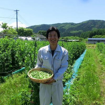 ふるさと納税 遠野市 冷凍 ハスカップ 2kg 栽培期間中 農薬不使用 農家 直送 遠野もぐもぐカントリー |  | 01