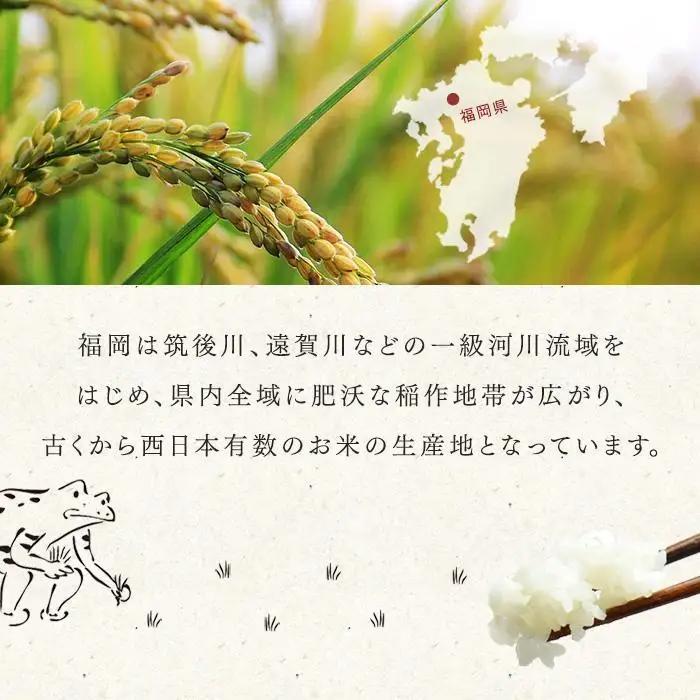 玄米 パックご飯 夢つくし 160g×24食 | パックご飯