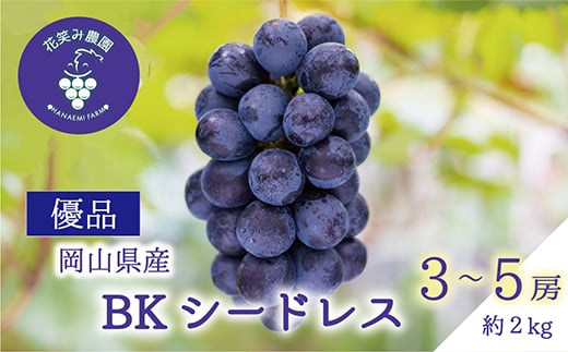 
                  岡山　花笑み農園の『BKシードレス』優品　約2kg(3～5房)　B-2優【1693706】
                